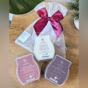 Scentsy 🩷 Valentine’s Day 3 Bar Bundle Wax Melts Gift Set - Pink, White, Purple